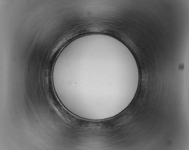 X0000115230626200911201558