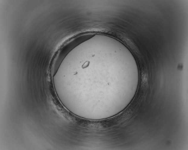 X0000115230628200911201558