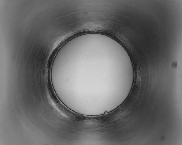 X0000115230630200911201558