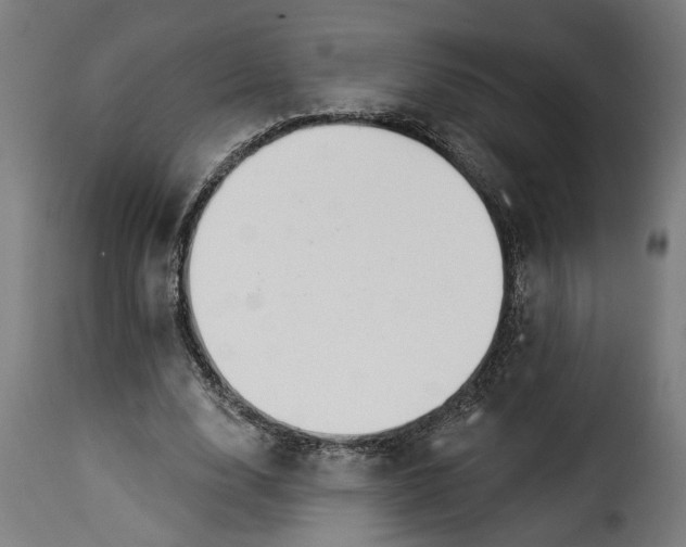 X0000115230632200911201558