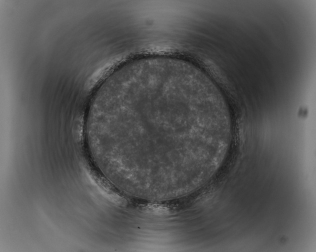 X0000115230640200911201558