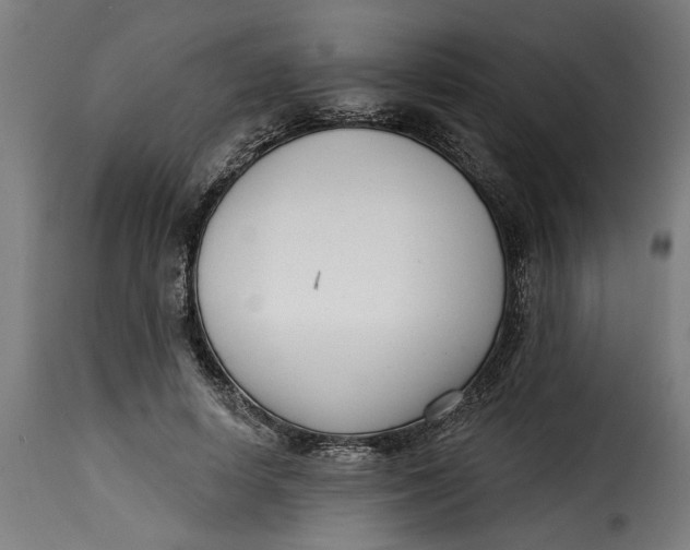 X0000115230642200911201558