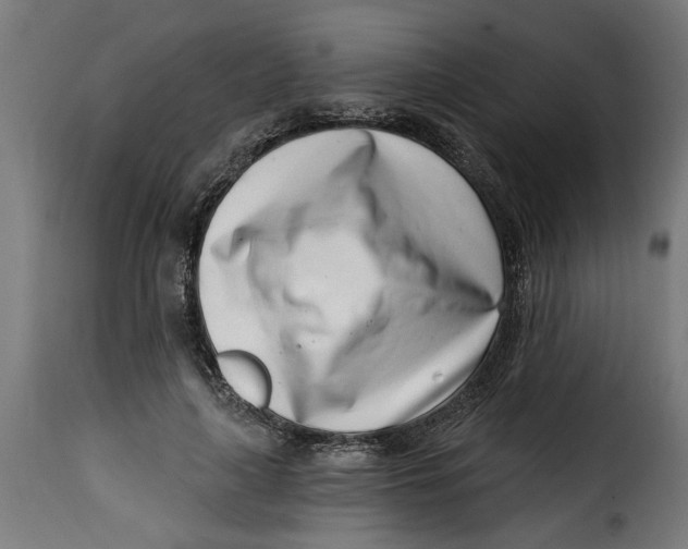 X0000115230643200911201558