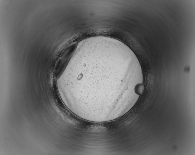 X0000115230644200911201558