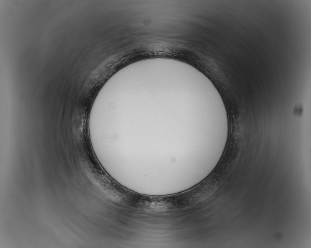 X0000115230645200911201558