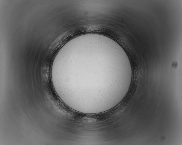 X0000115230648200911201558