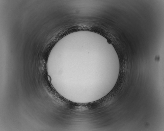 X0000115230649200911201558