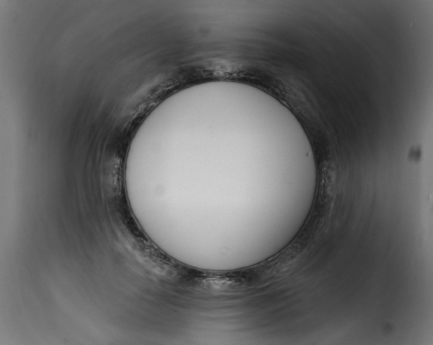 X0000115230650200911201558