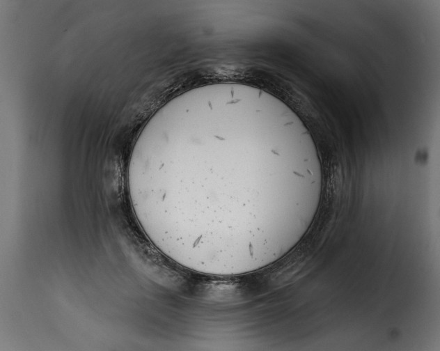 X0000115230651200911201558