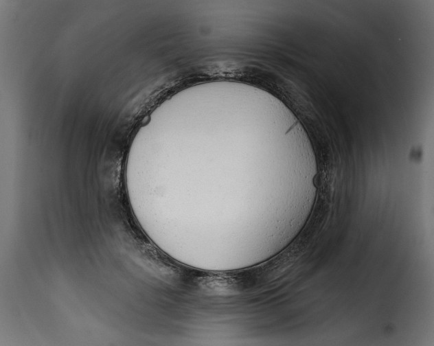 X0000115230652200911201558