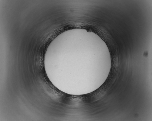 X0000115230653200911201558