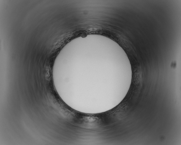 X0000115230654200911201558