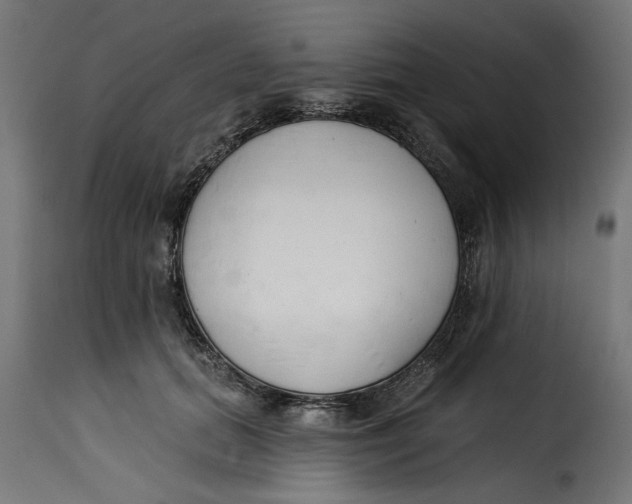 X0000115230655200911201558