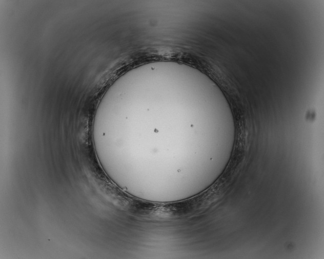 X0000115230656200911201558