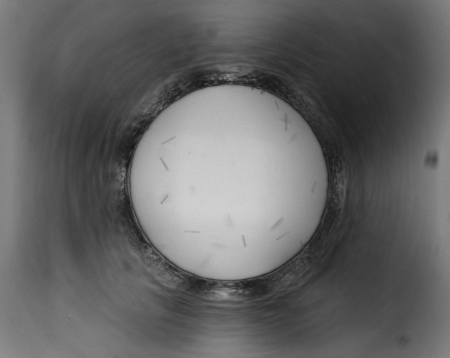 X0000115230657200911201558