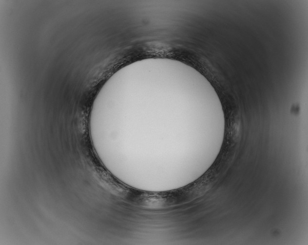 X0000115230658200911201558