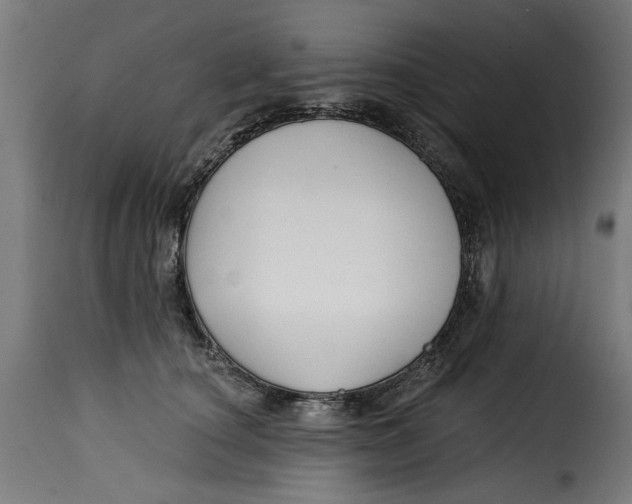 X0000115230660200911201558