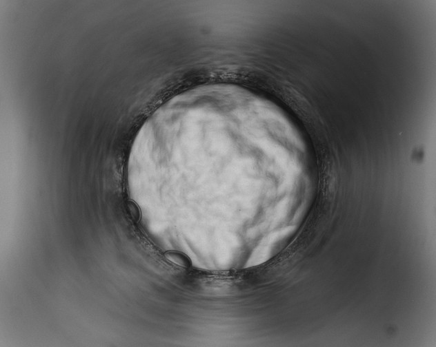 X0000115230661200911201558