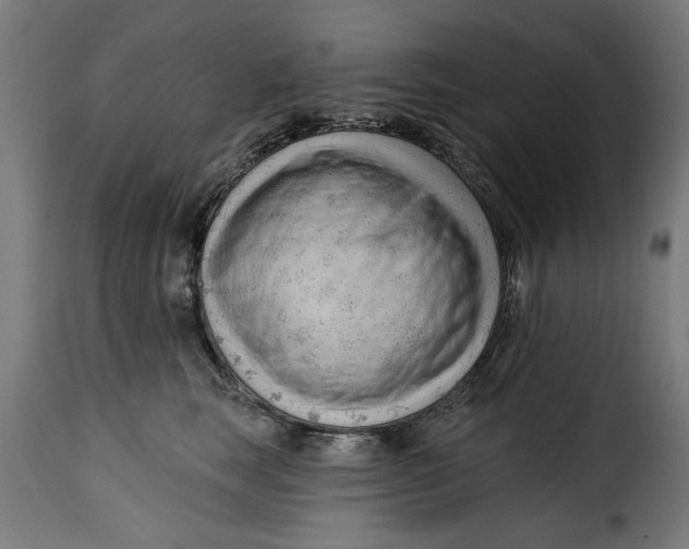 X0000115230663200911201558