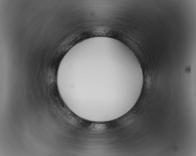 X0000115230665200911201558