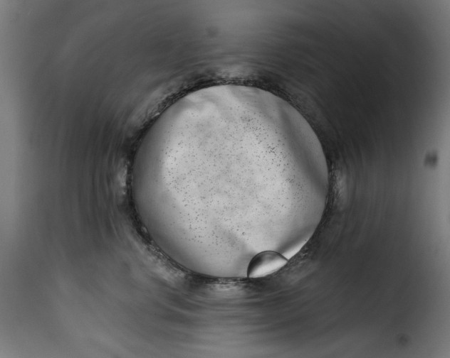 X0000115230668200911201558