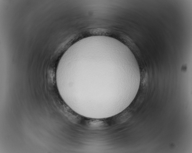 X0000115230669200911201558