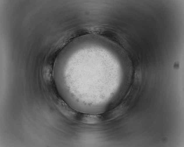 X0000115230671200911201559