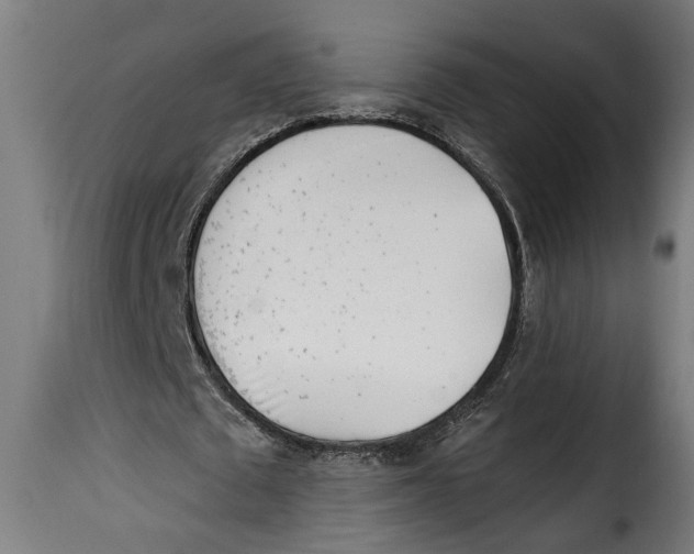 X0000115230673200911201558