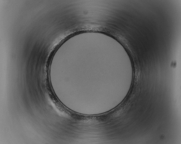 X0000115230674200911201558