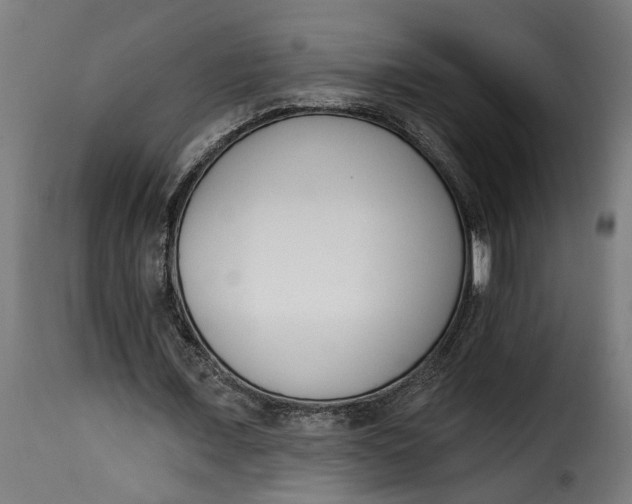 X0000115230675200911201558