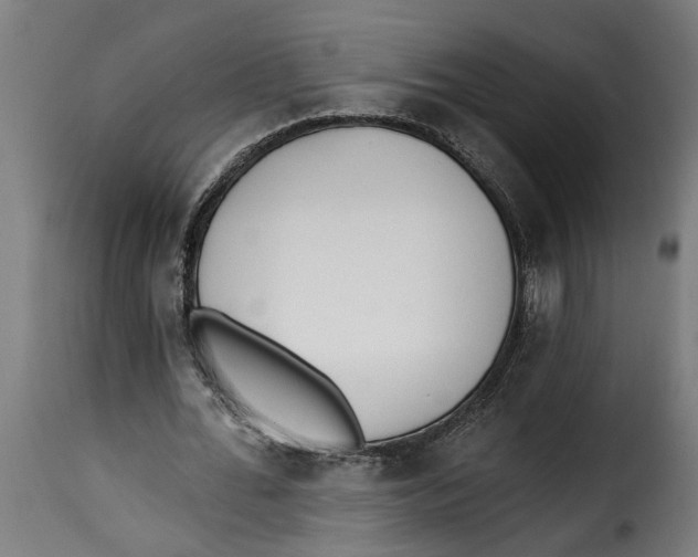 X0000115230676200911201558