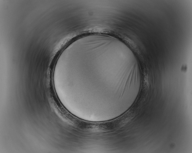 X0000115230678200911201558