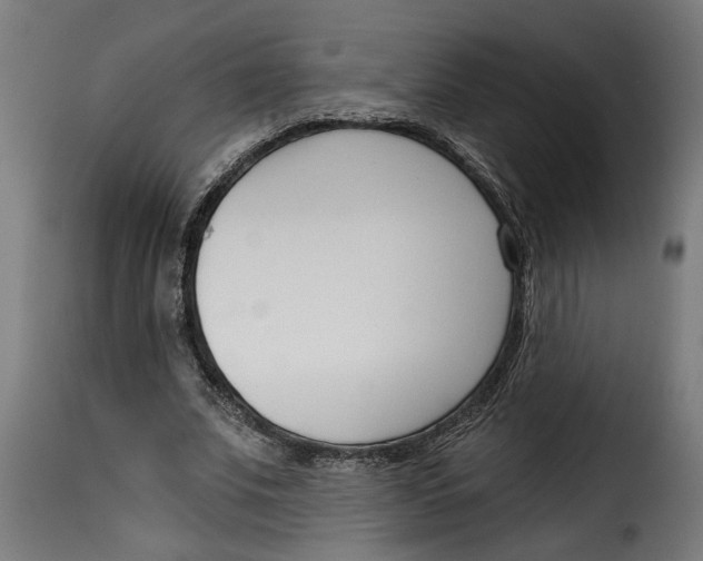 X0000115230679200911201558