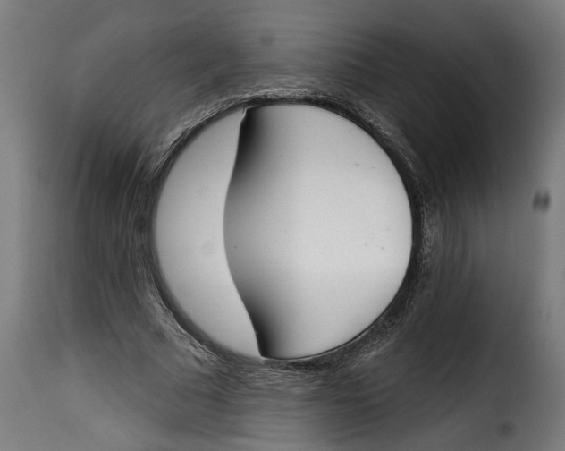 X0000115230681200911201558