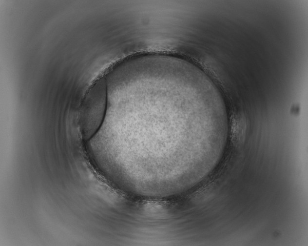 X0000115230684200911201558