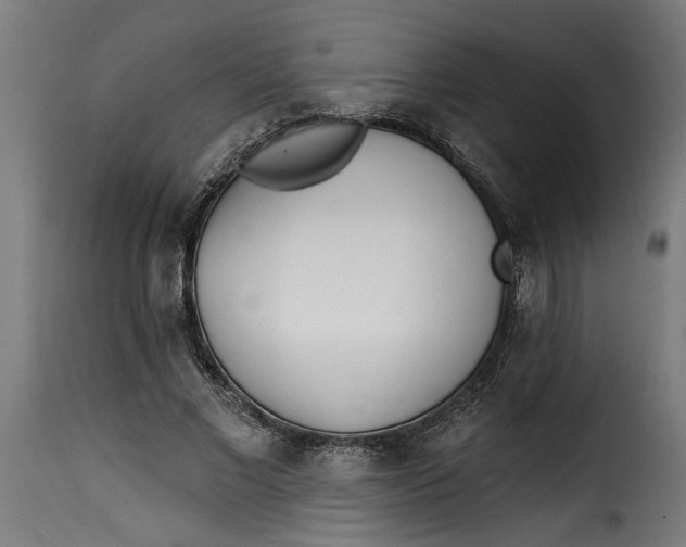 X0000115230685200911201558