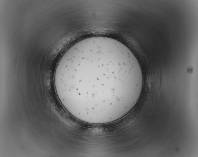 X0000115230687200911201558