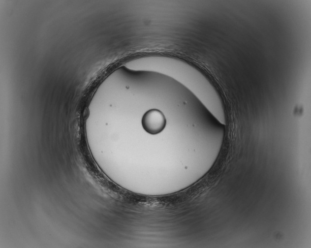 X0000115230688200911201558