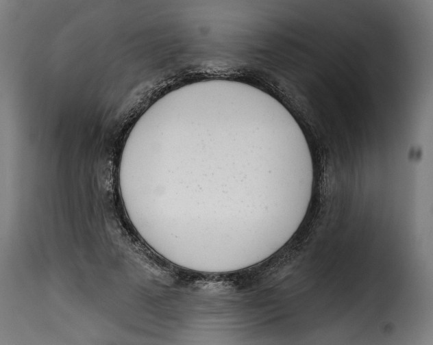 X0000115230689200911201558