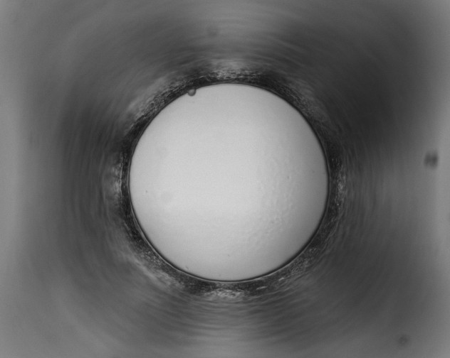 X0000115230691200911201558