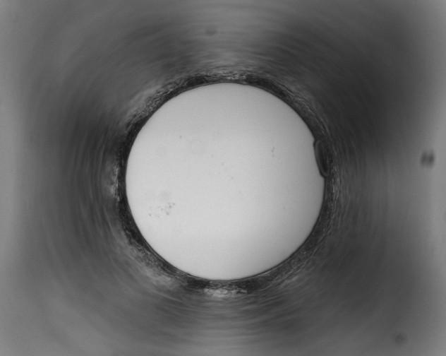 X0000115230693200911201558