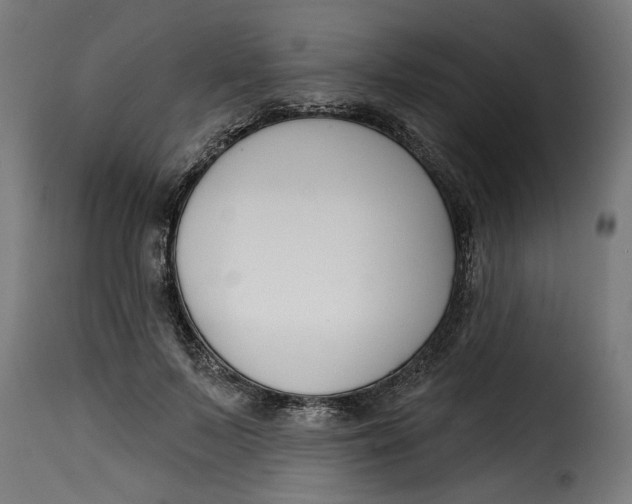 X0000115230695200911201558