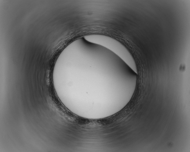 X0000115230696200911201558