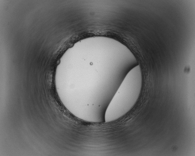 X0000115230697200911201558