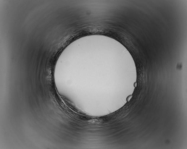 X0000115230700200911201558