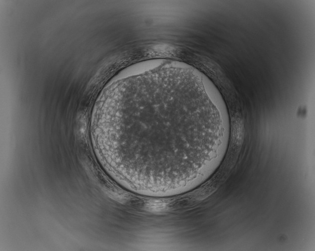 X0000115230701200911201557