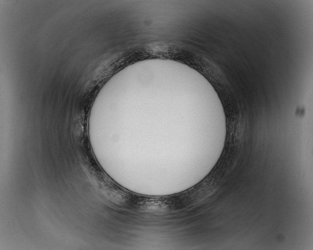 X0000115230702200911201557