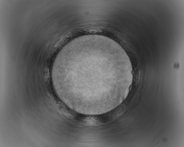 X0000115230704200911201557