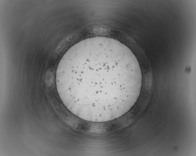 X0000115230705200911201557