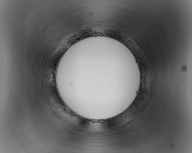 X0000115230706200911201557